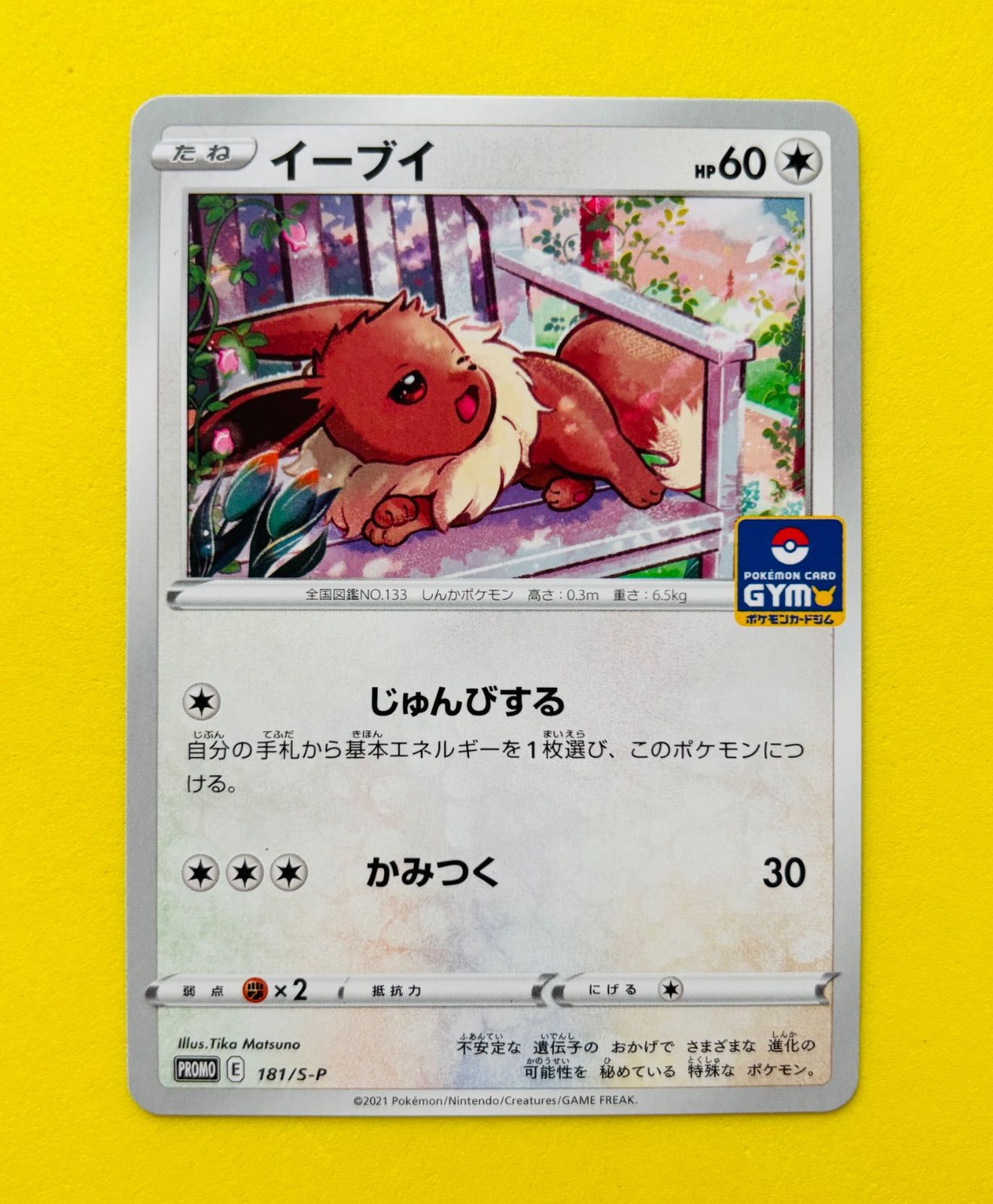匿名配送】ポケモンカード☆イーブイ☆ジムプロモ☆プロモ☆じゅんび