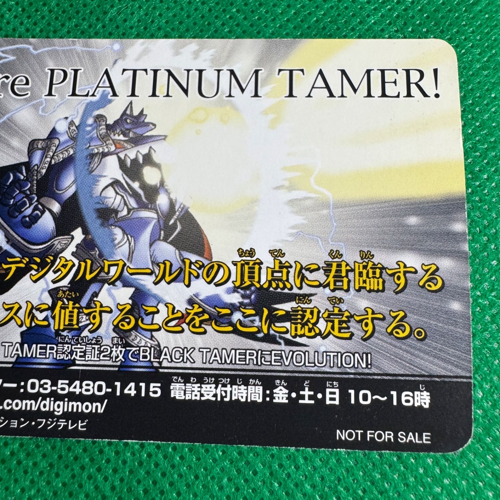 大会限定カード【極めて希少】旧デジタルモンスターカードゲームα