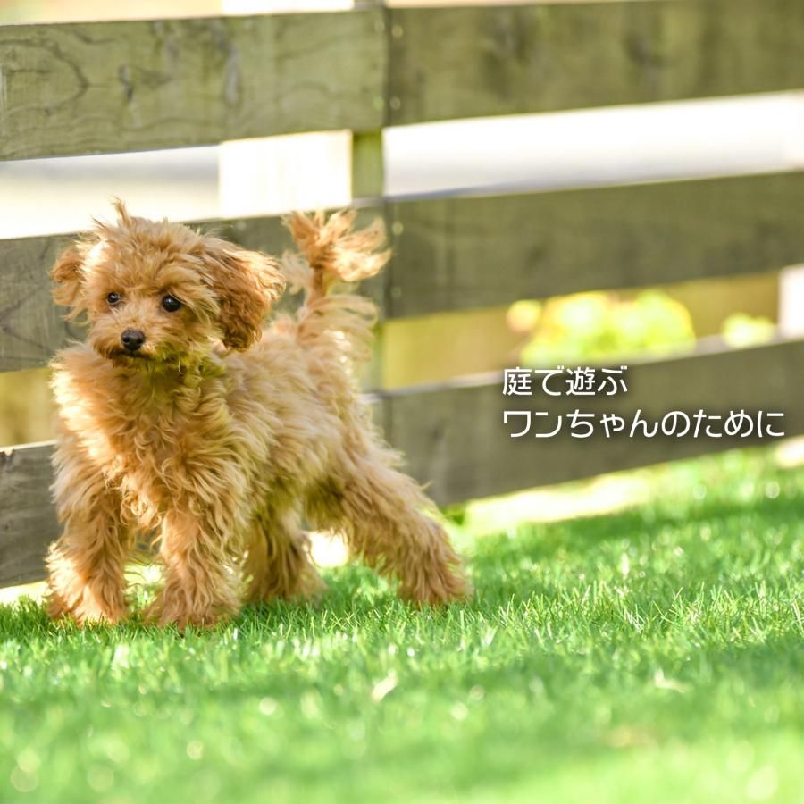 （10メートル）【今売れてます！！】【値下げ！】(10ｍ）◆◆人工芝 ロール 1m×5m 人工芝マット 【送料込み！】diy 芝生35mm 人工芝ピン 25本付 人工芝 犬 テープ 芝生マット