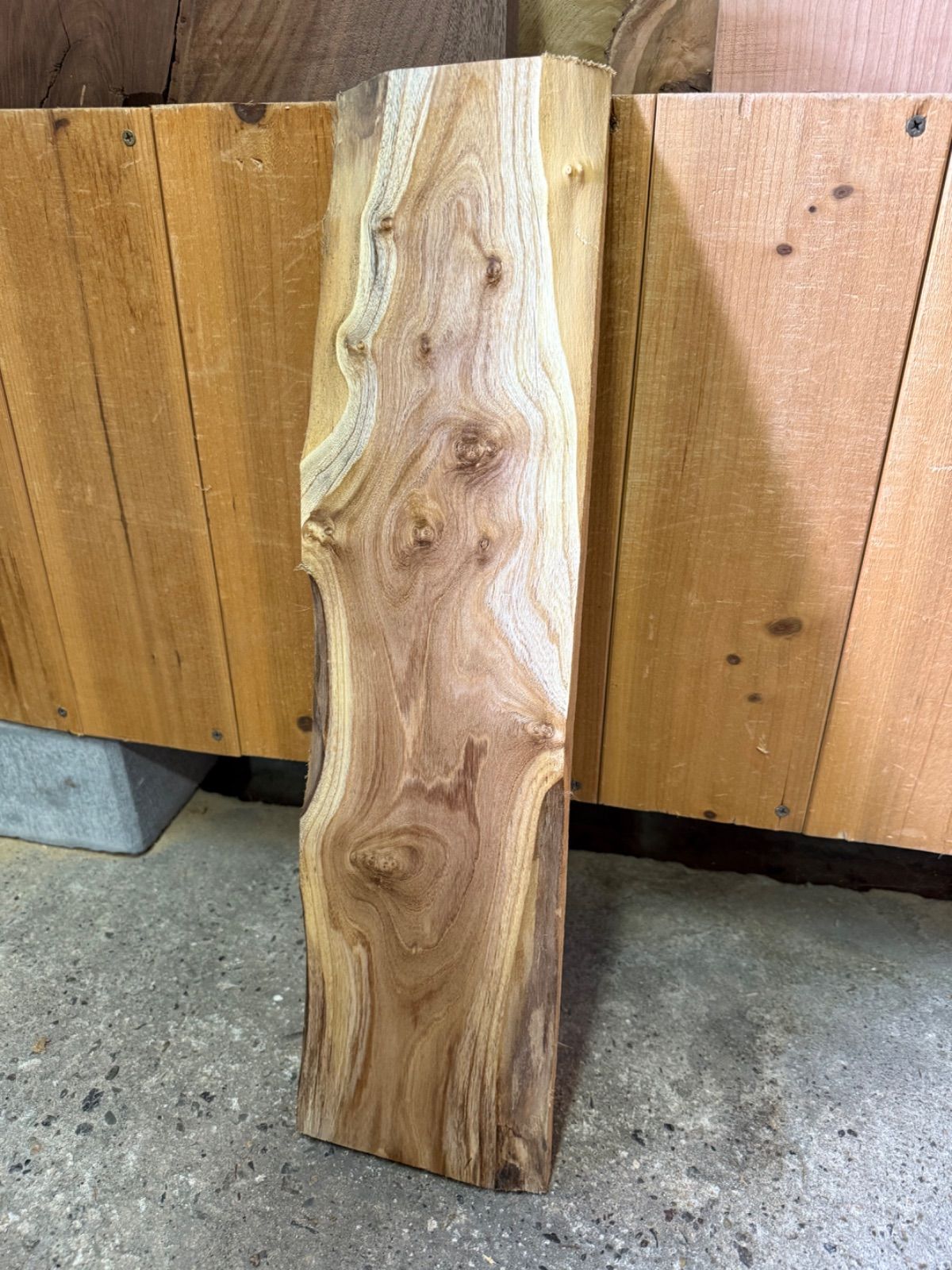 瘤杢 】エンジュ 槐 板 一枚板 無垢材 銘木 看板 木工DIY 素材