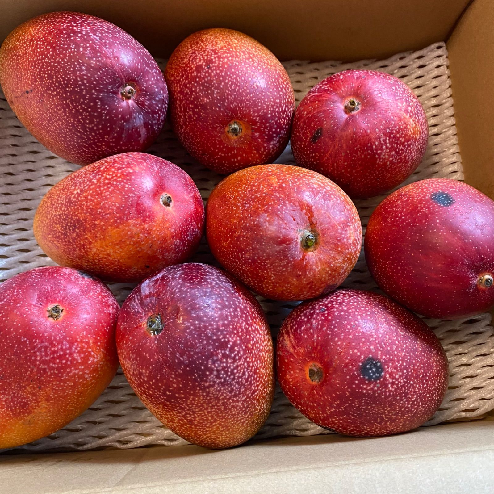 訳あり宮崎完熟マンゴー9玉約5kg - メルカリ