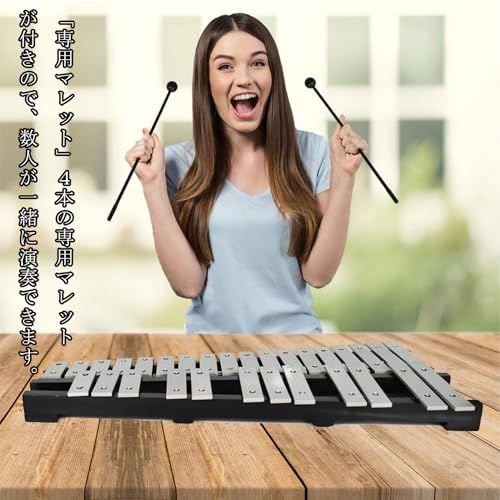 【新品】鉄琴 30音 折り畳み マレット4本 収納ケース付き 卓上鉄琴 bd41149f