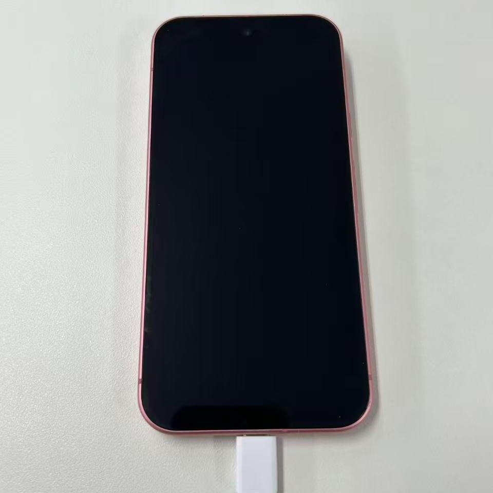 ジャンク】Google Pixel 9 ピオニー 起動不可 - メルカリ