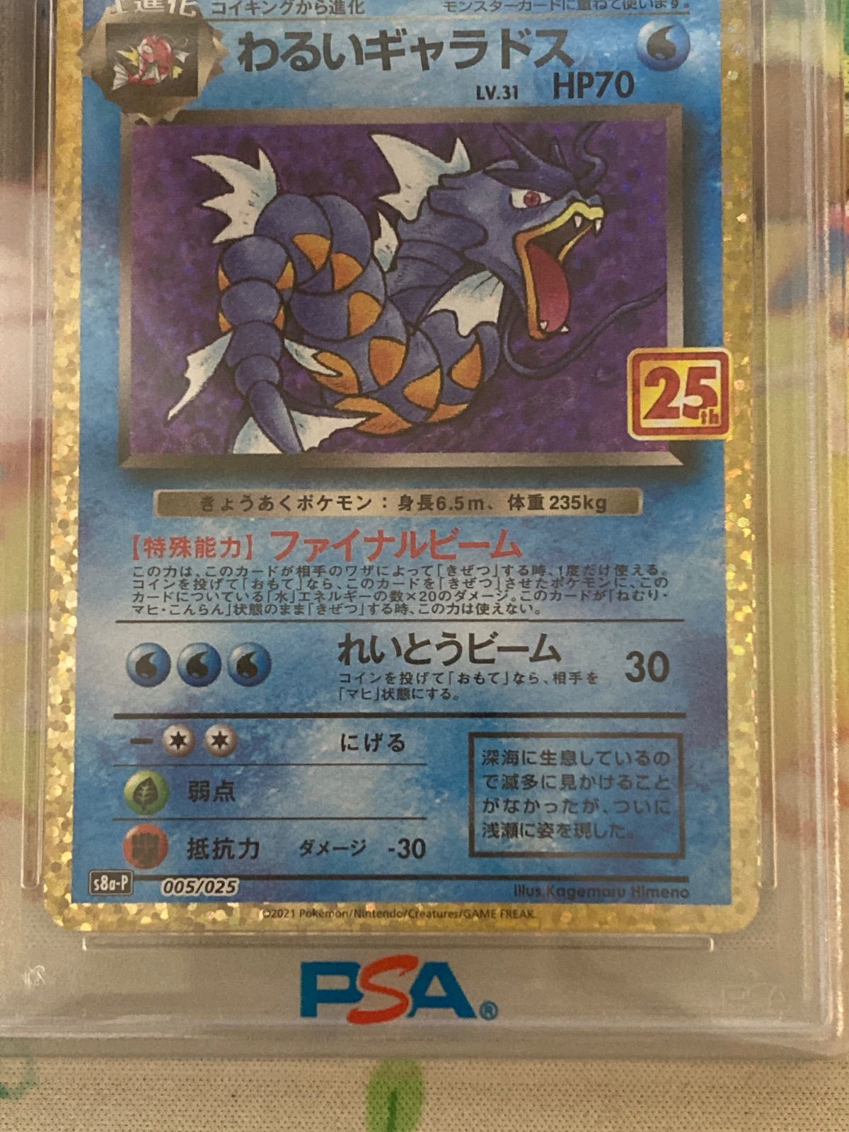 PSA10】わるいギャラドス 005/025 25th ANNIVERSARY edition 【ポケカ