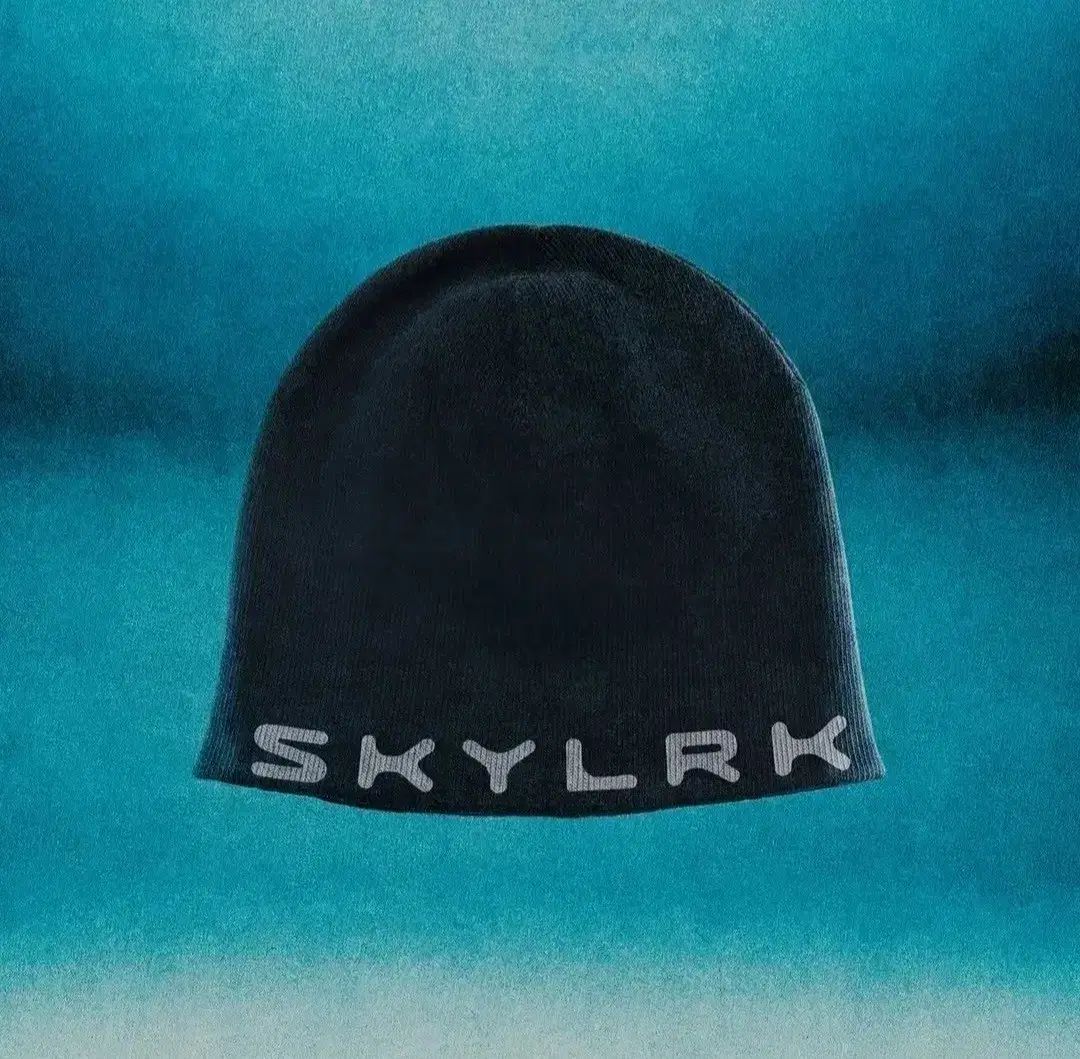 skylrk skullcap jet ビーニー