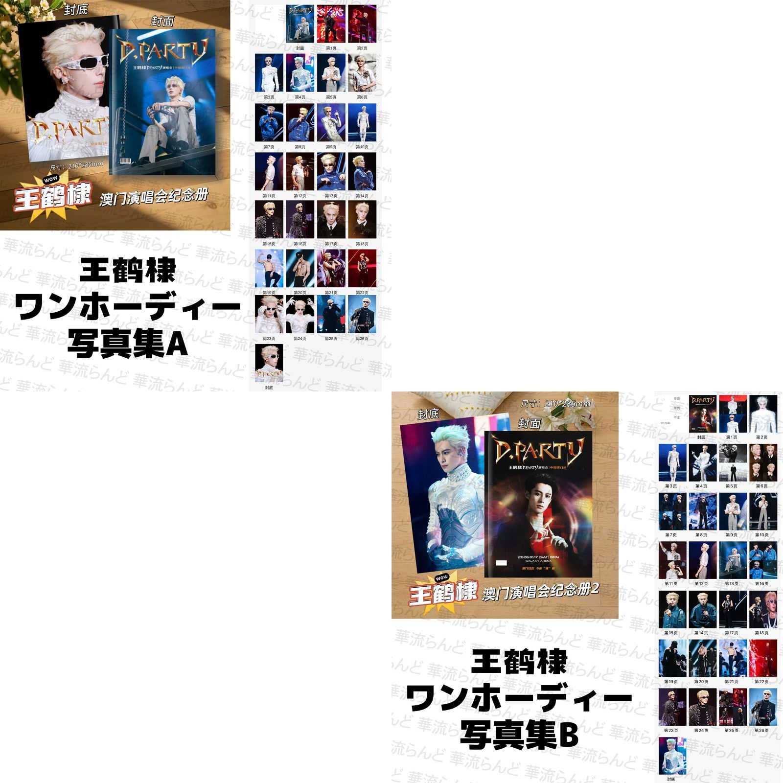 王鶴棣 ワンホーディー 写真集 026 王鹤棣 - メルカリ