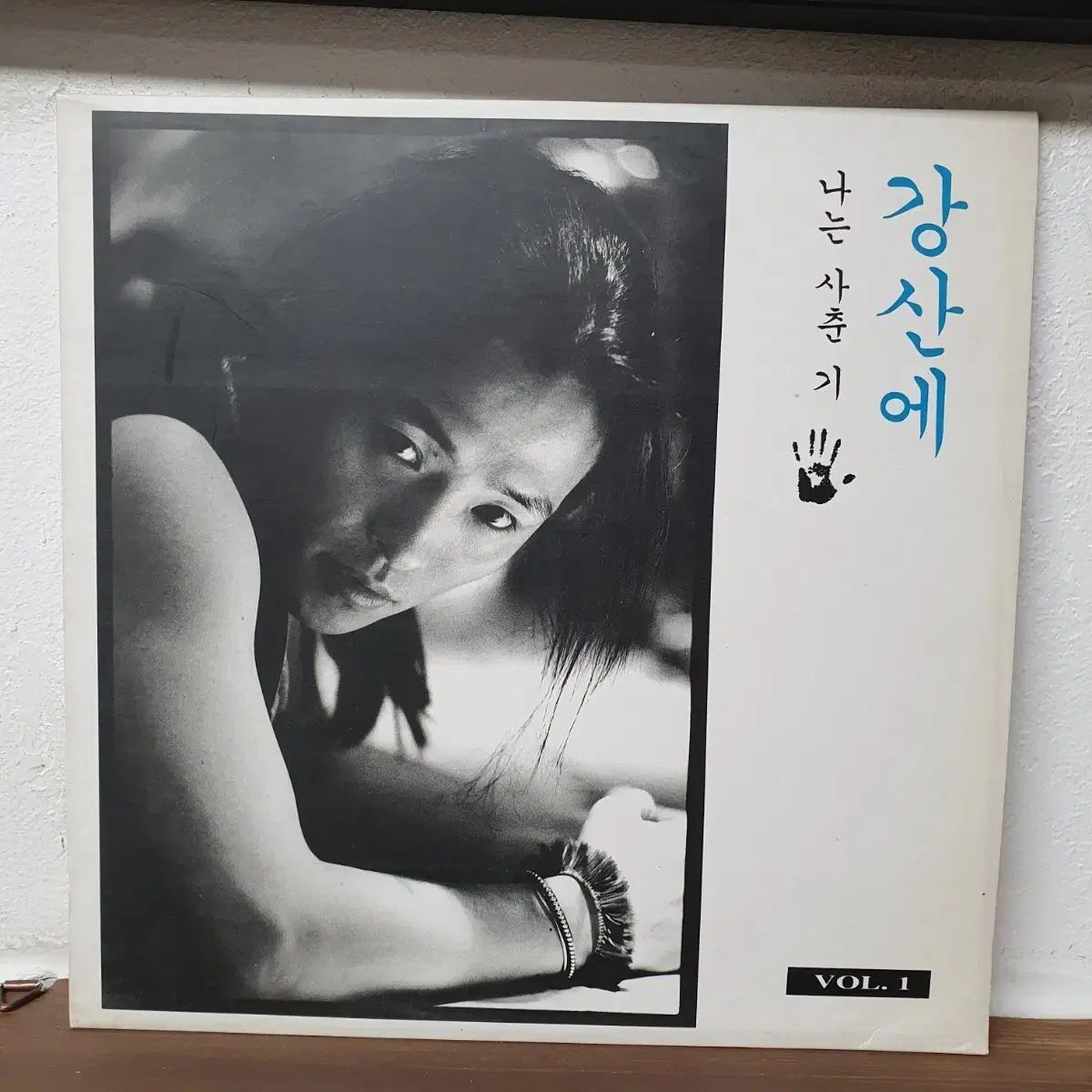 江山へ 1 家 LP 1994 あなた 私ならできる
