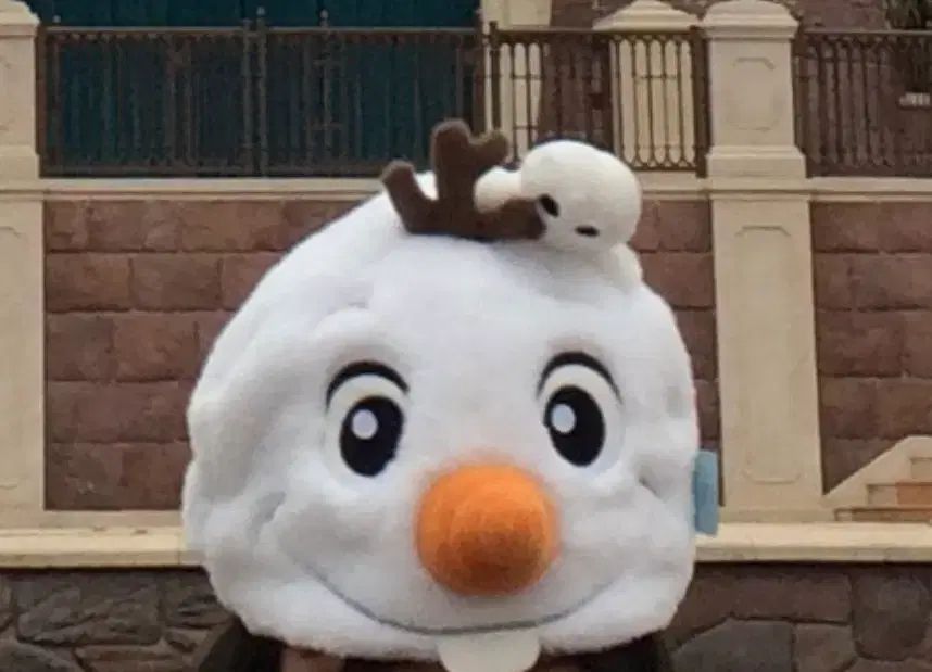 上海ディズニーランド アナと雪の女王 オラフ 帽子 ウール 正規品 レア