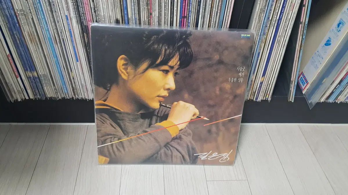 LP 길은정 ( 1988 年)愛のグッド