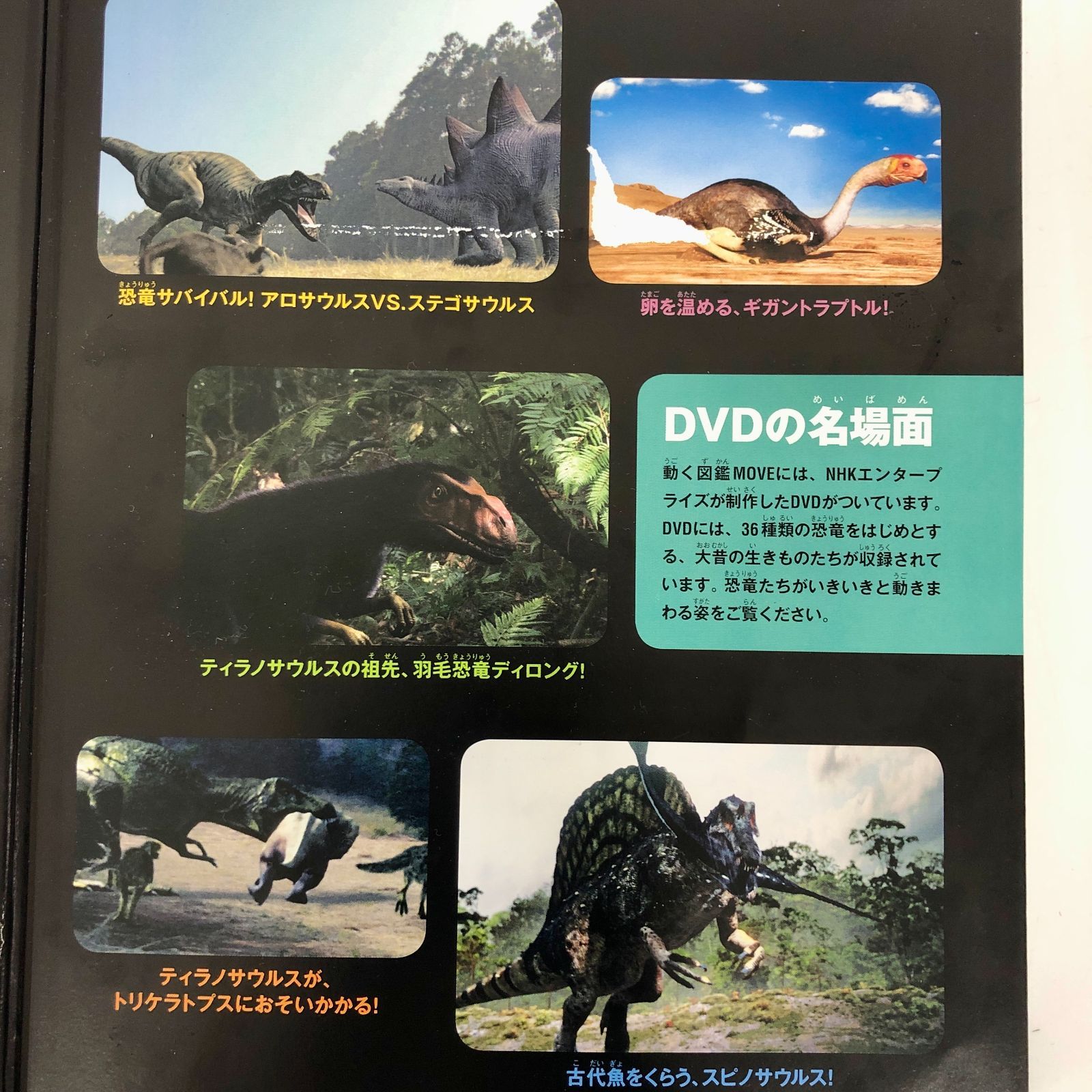 ◇[F]図鑑まとめ売り12冊 講談社の動く図鑑MOVE DVD12枚付 - メルカリ