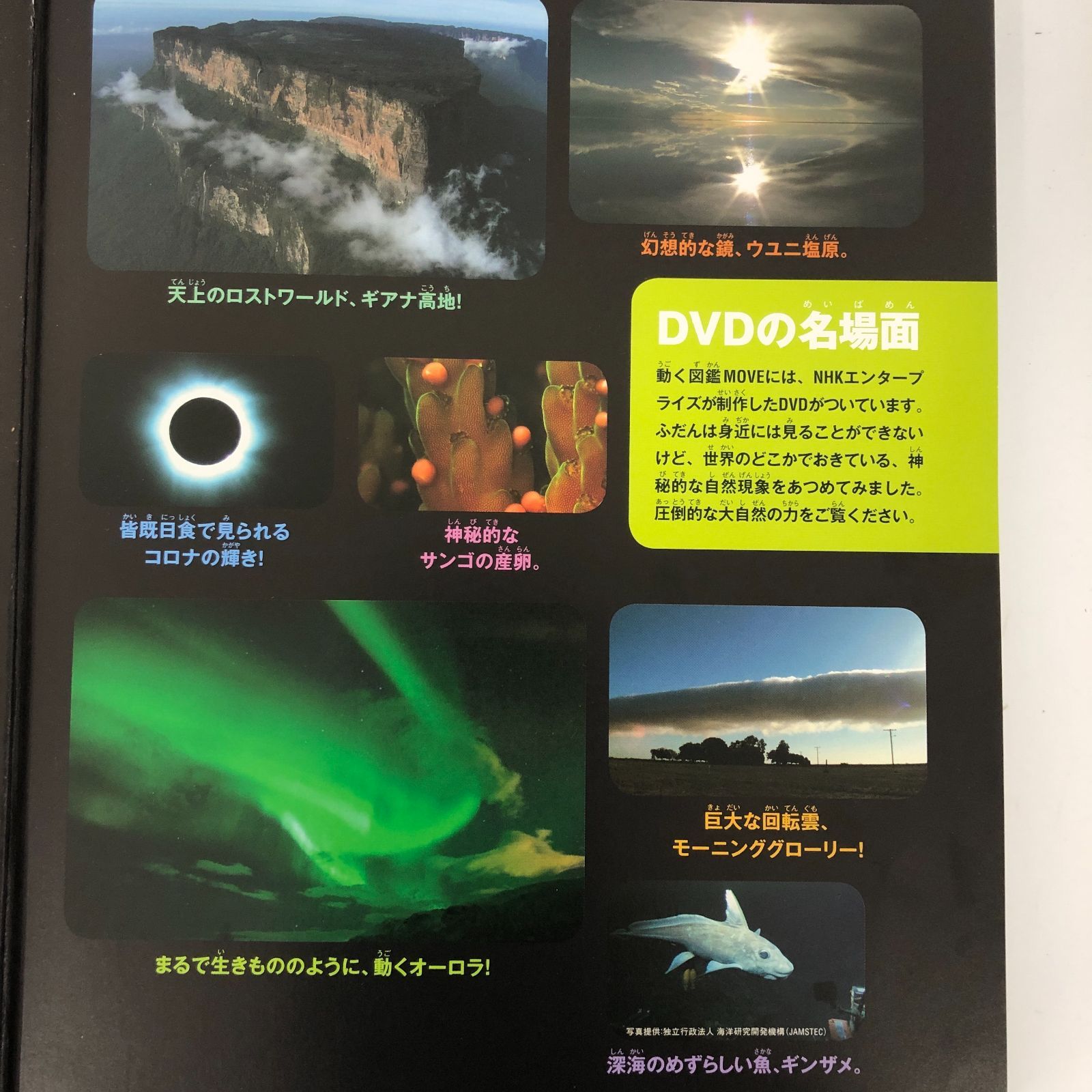 ◇[F]図鑑まとめ売り12冊 講談社の動く図鑑MOVE DVD12枚付 - メルカリ
