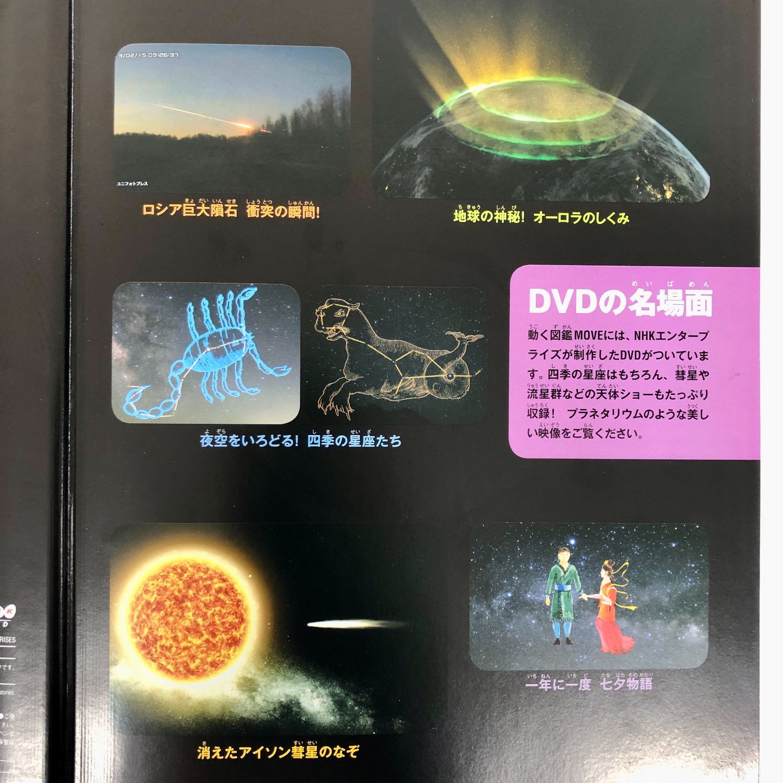 ◇[F]図鑑まとめ売り12冊 講談社の動く図鑑MOVE DVD12枚付 - メルカリ
