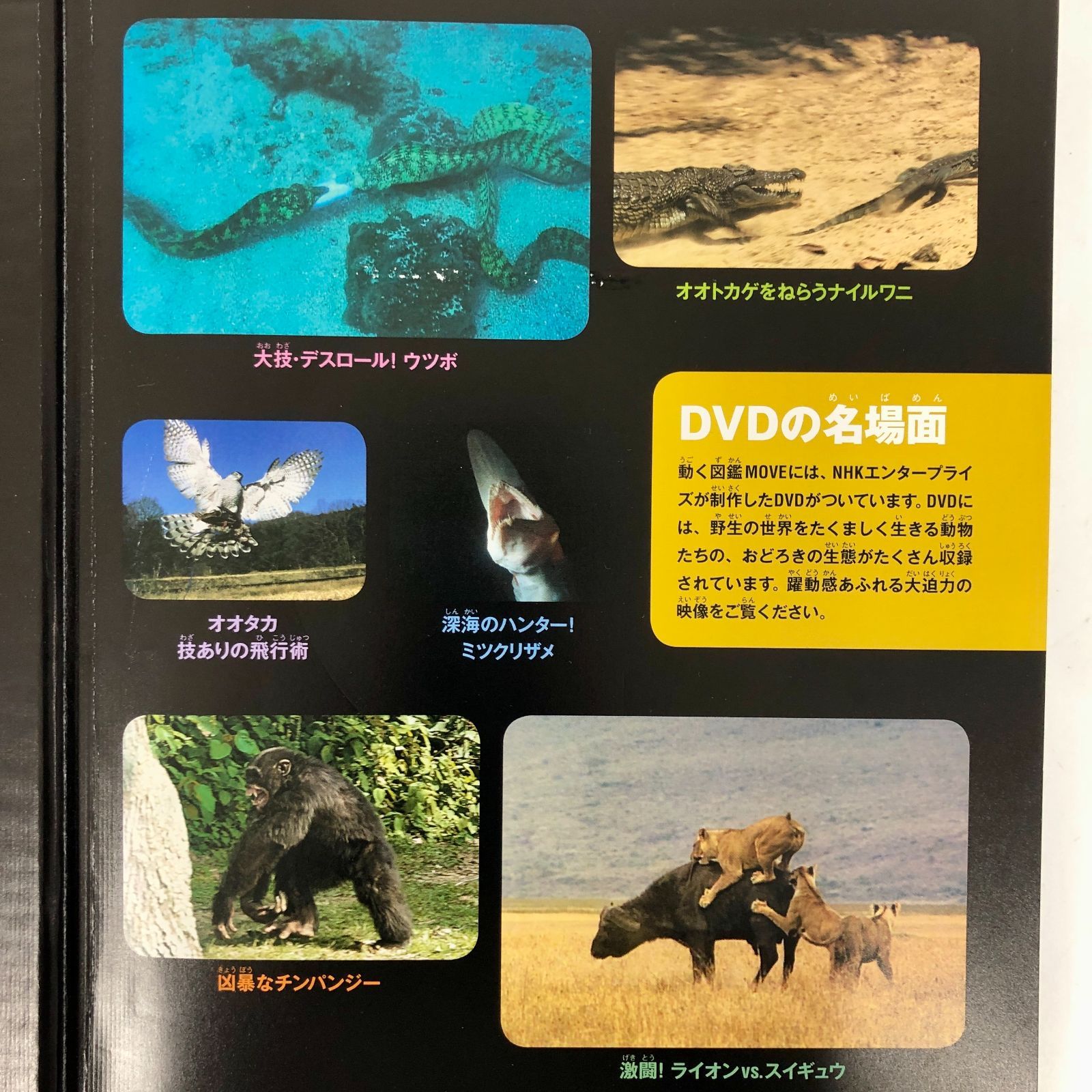◇[F]図鑑まとめ売り12冊 講談社の動く図鑑MOVE DVD12枚付 - メルカリ
