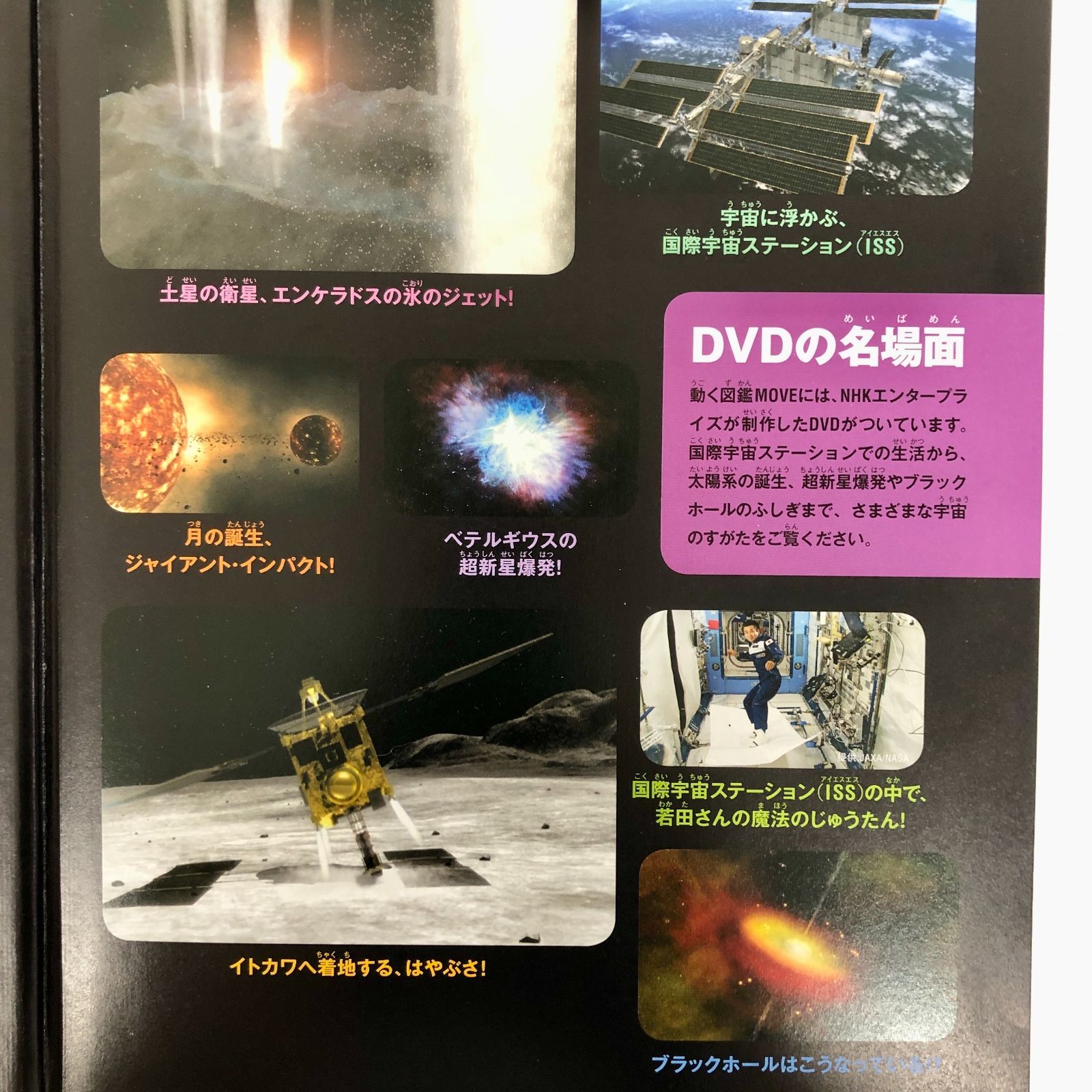◇[F]図鑑まとめ売り12冊 講談社の動く図鑑MOVE DVD12枚付 - メルカリ