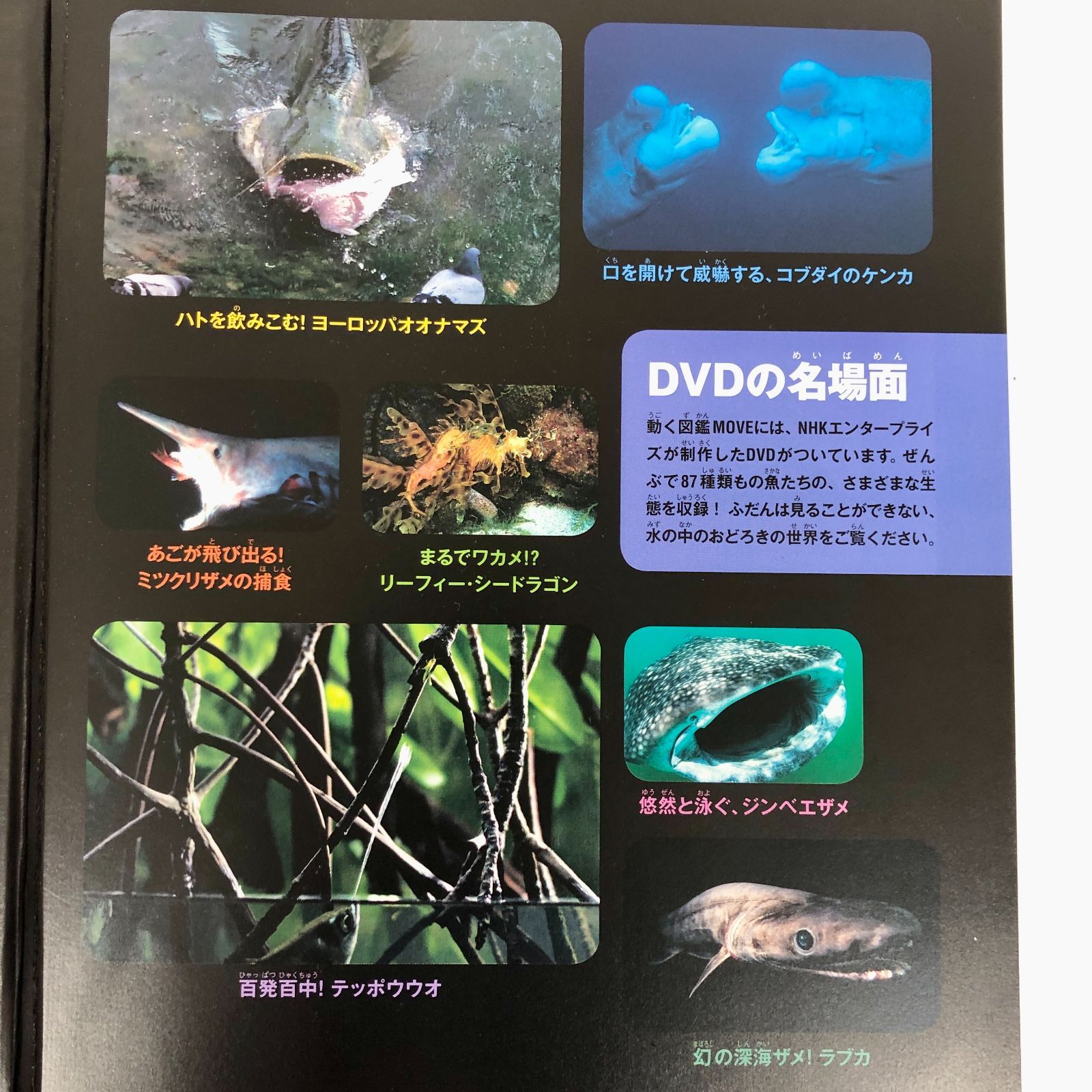 ◇[F]図鑑まとめ売り12冊 講談社の動く図鑑MOVE DVD12枚付 - メルカリ