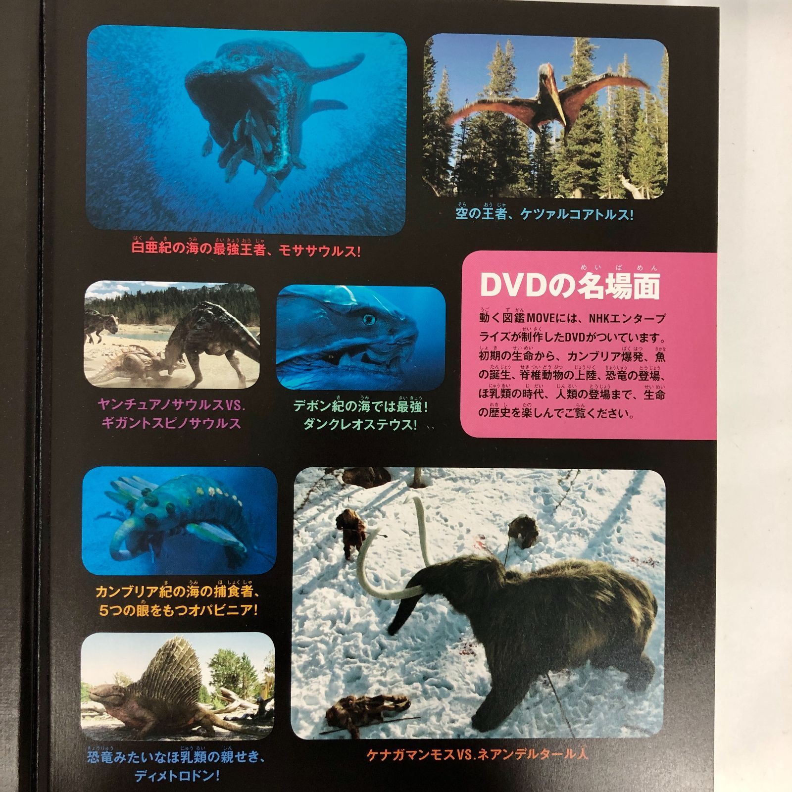◇[F]図鑑まとめ売り12冊 講談社の動く図鑑MOVE DVD12枚付 - メルカリ