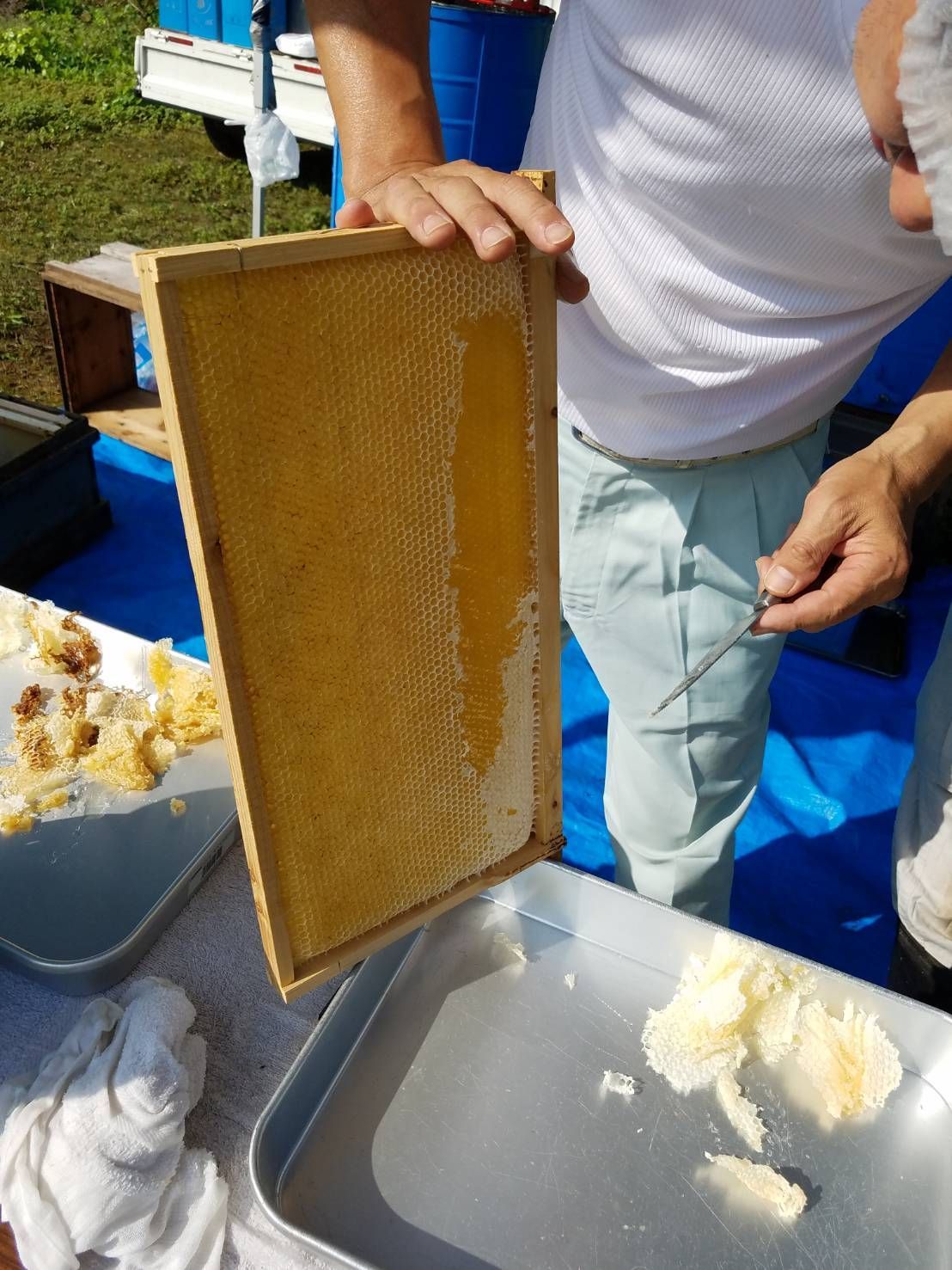 【完熟・非加熱】塚本養蜂場 国産純粋蜂蜜 600g×4個 無添加・自然熟成【賞味期限2029年4】つかもと はちみつ 完熟 生 国産 純粋蜂蜜 無添加 非加熱 600g 4個