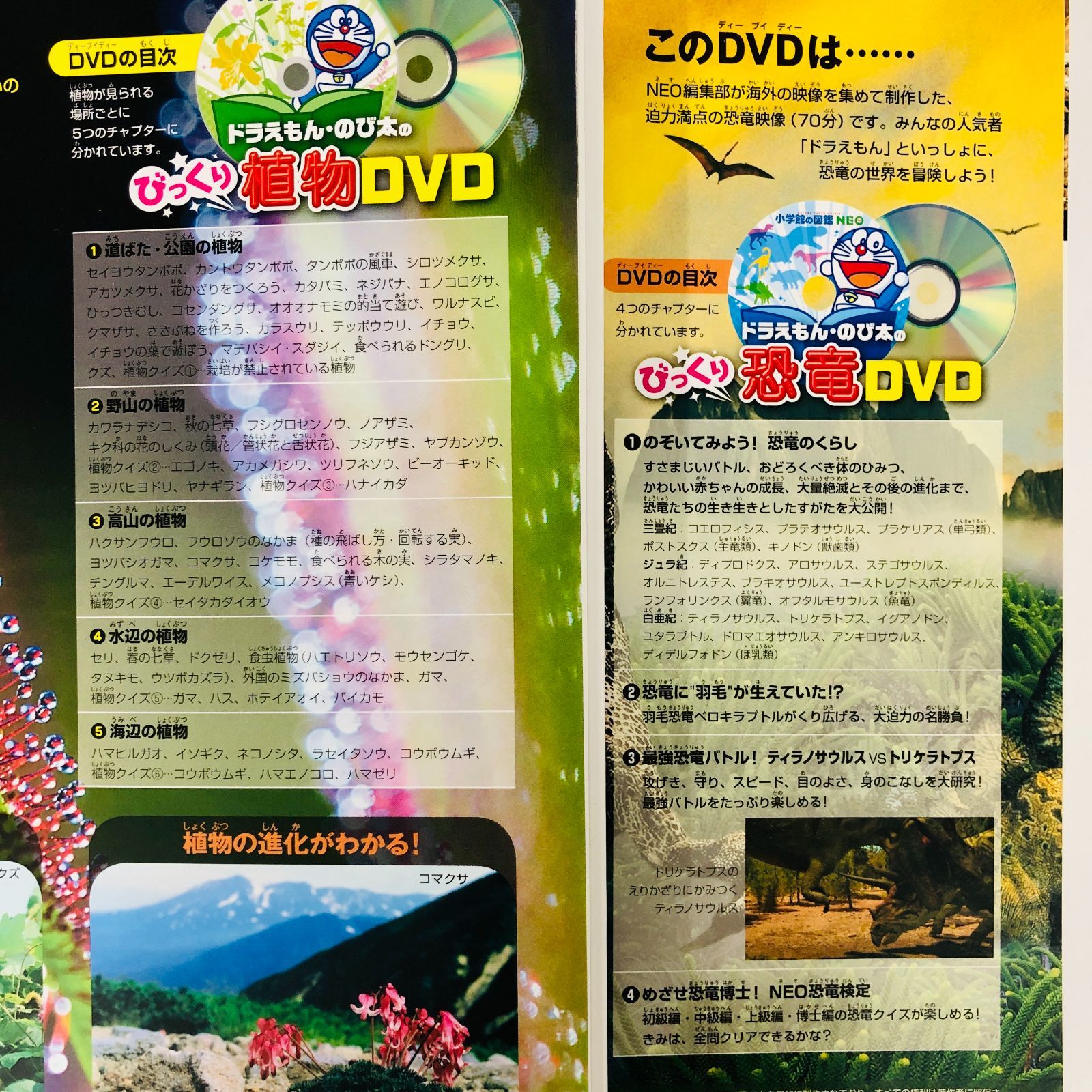 ◇[F]図鑑まとめ売り11冊 小学館の図鑑NEO DVD6枚付き - メルカリ