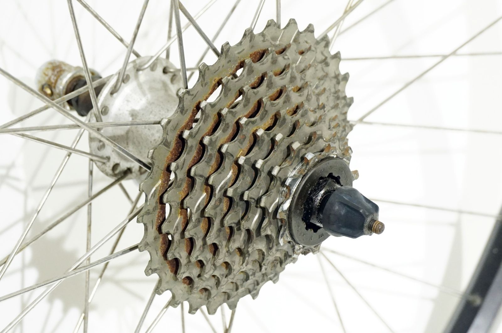 ZAC 「ゼットエーシー」 19 リム SHIMANO FH-RM40-8 リアホイール