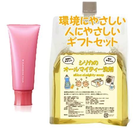 Naris ナリス レジュアーナ Wクレンジングフォーム 100g　環境にやさしい、人にやさしいギフトセット