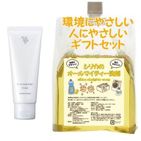 Naris ナリス マジェスタ Wクレンジング フォーム 100g　環境にやさしい、人にやさしいギフトセット