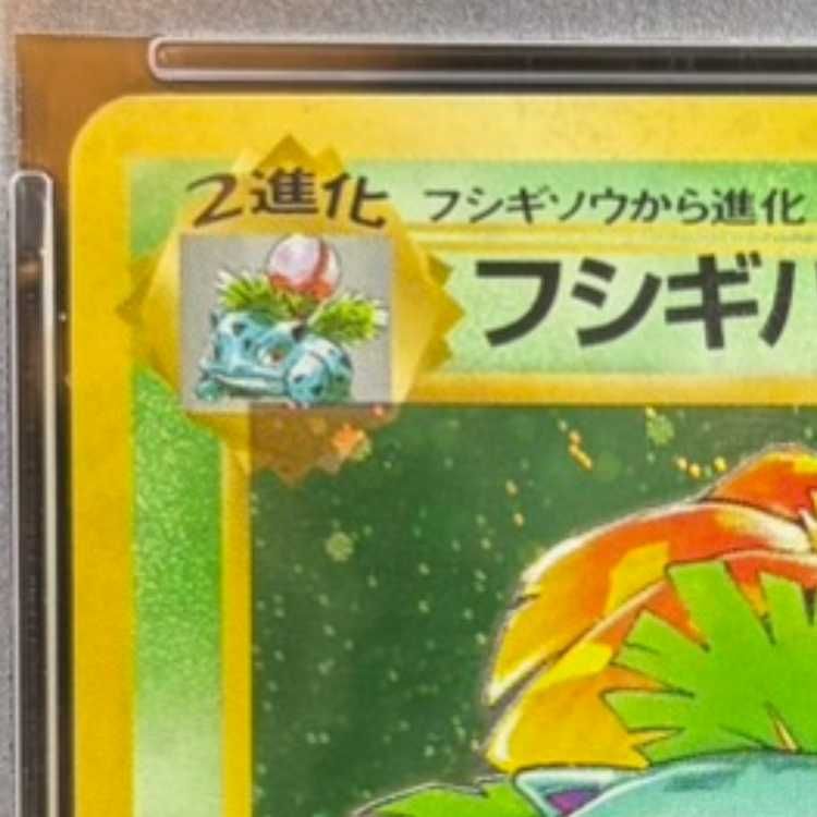 PSA10】 フシギバナ ＜マーク有＞ [旧裏第1弾/拡張パック] [旧裏] 1枚