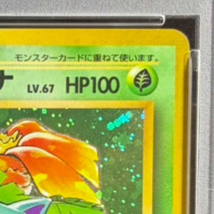 フシギバナ ★ 第1弾拡張パック　マーク有　PSA4 PSA10】 フシギバナ ＜マーク有＞ [旧裏第1弾/拡張パック] [旧裏] 1枚