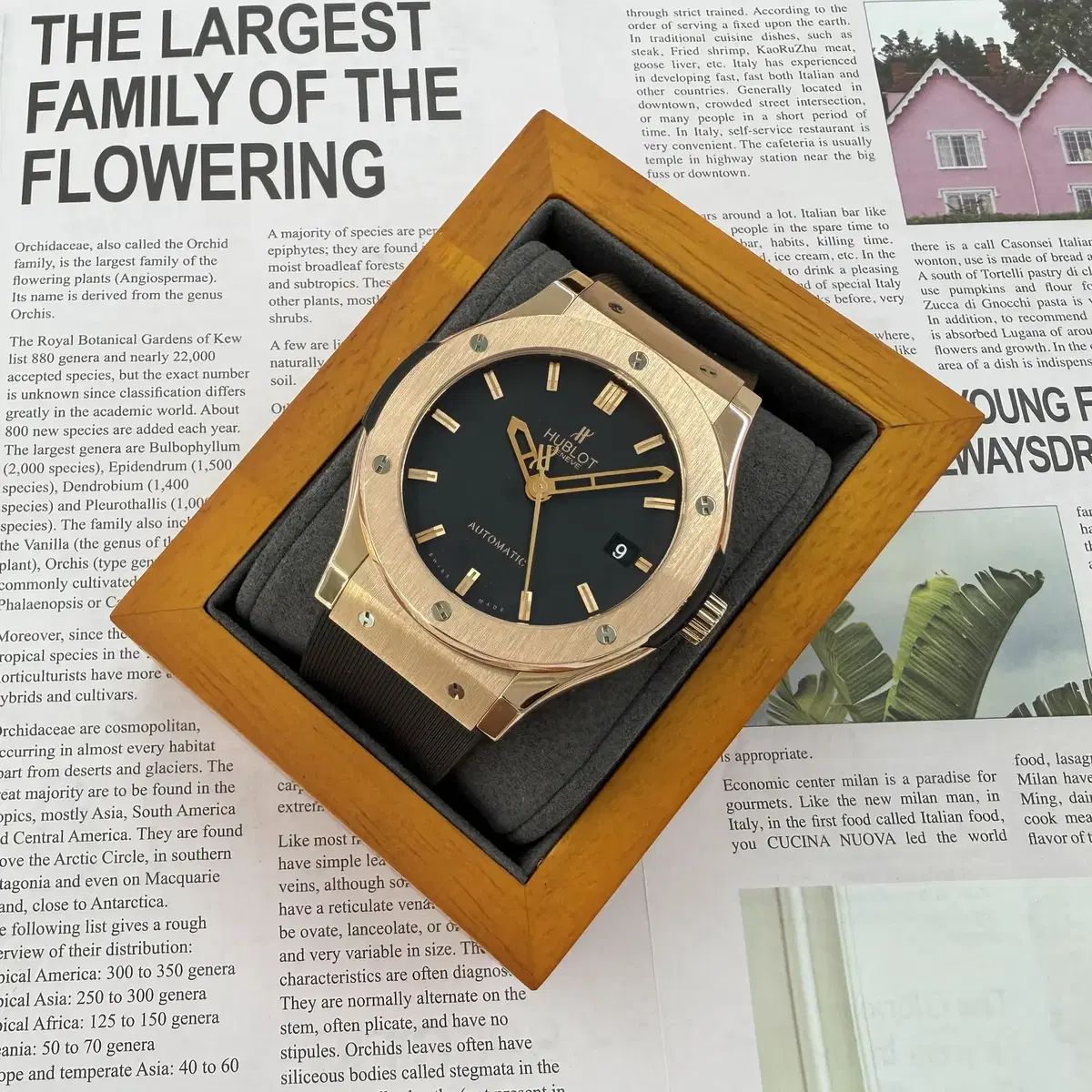 HUBLOT ウブロ ヒュージョン Classic 45 キング GOLD 18K丸のまま ラバー