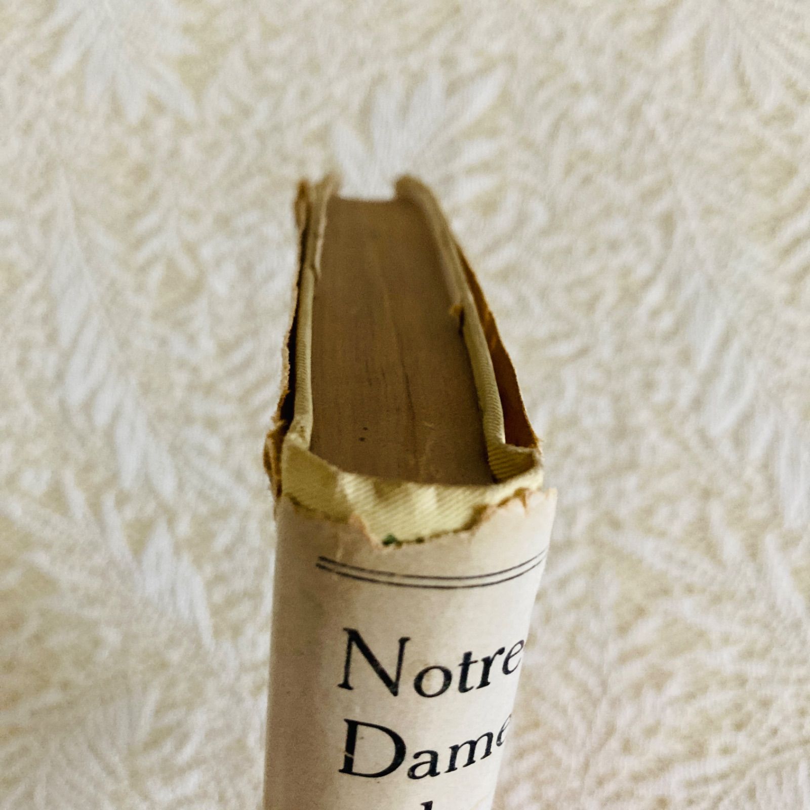 ネルソン ダストジャケット付き 美しい装丁のフランス語古書