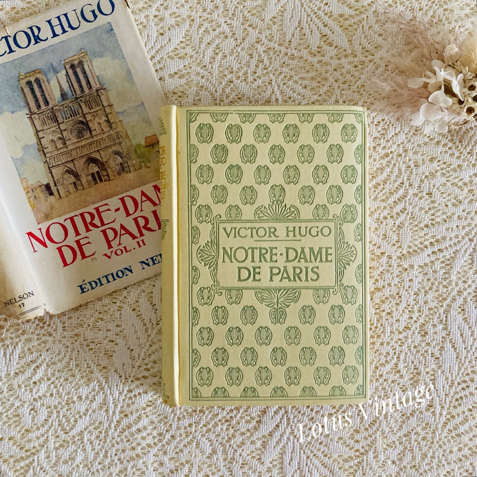 ネルソン ダストジャケット付き 美しい装丁のフランス語古書