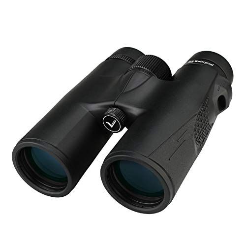 SVBONY SV47 双眼鏡 10倍 42口径 望遠鏡 高倍率 Bak4プリズム FMCコーティング IPX7防水 コンサート 自然観察 野鳥観察 花火大会 探鳥用 スポーツ観戦 運動会 ハイキング 旅行 天体観測 アウトドア 幅広い適応性 1d1d8277