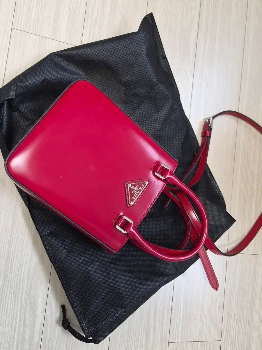 PRADA ブラッシュド ミニ