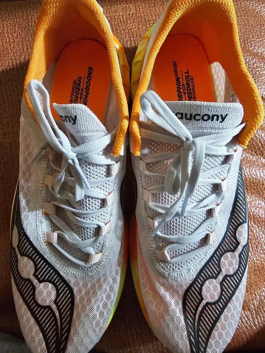 Saucony サッカニー エンドルフィン プロ4 295mm 出品