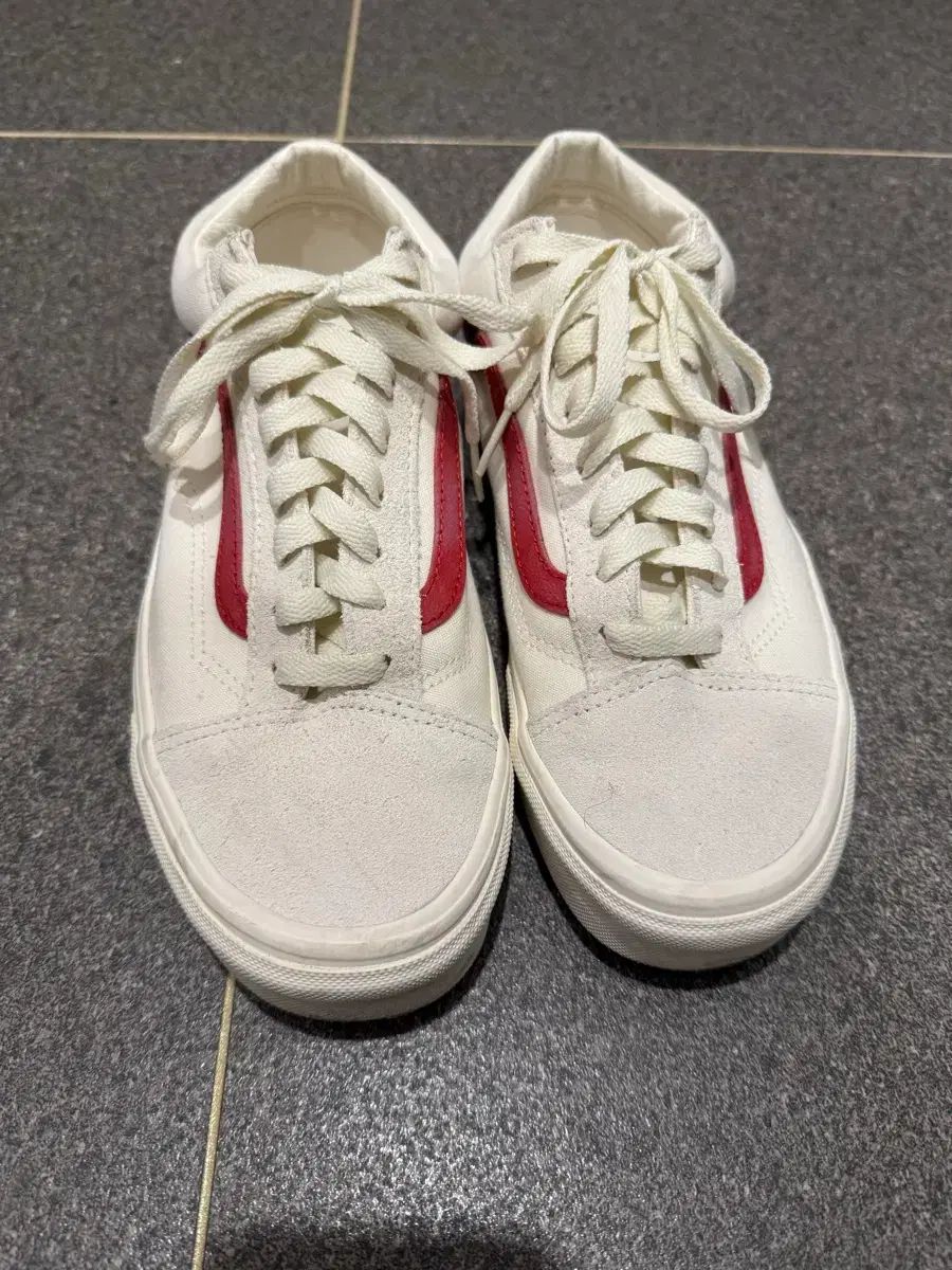 260 VANS ヴァンズ スタイル36 - マシュマロ:レーシン レッド