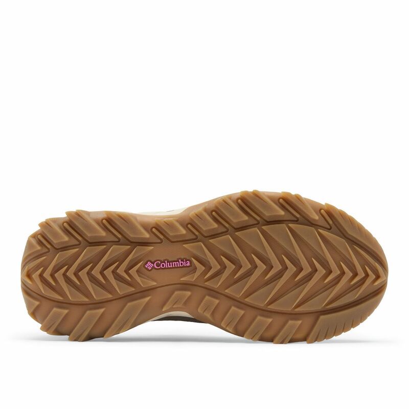コロンビア レディース シューズ スニーカー Columbia Cedar Coast Lowomens Casual Sneakers Dark Sand サンド