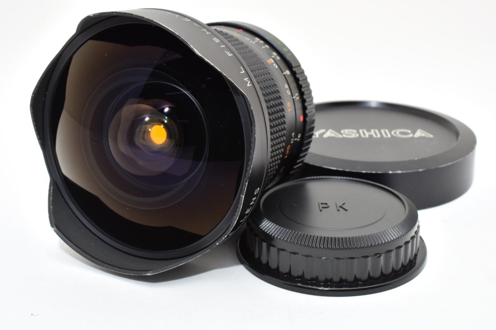 ペルー産 巨大ベッコウバチ 105mm(翅)