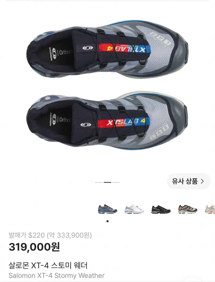 サロモン xt-4 ストーミー ウェザー 255 新品