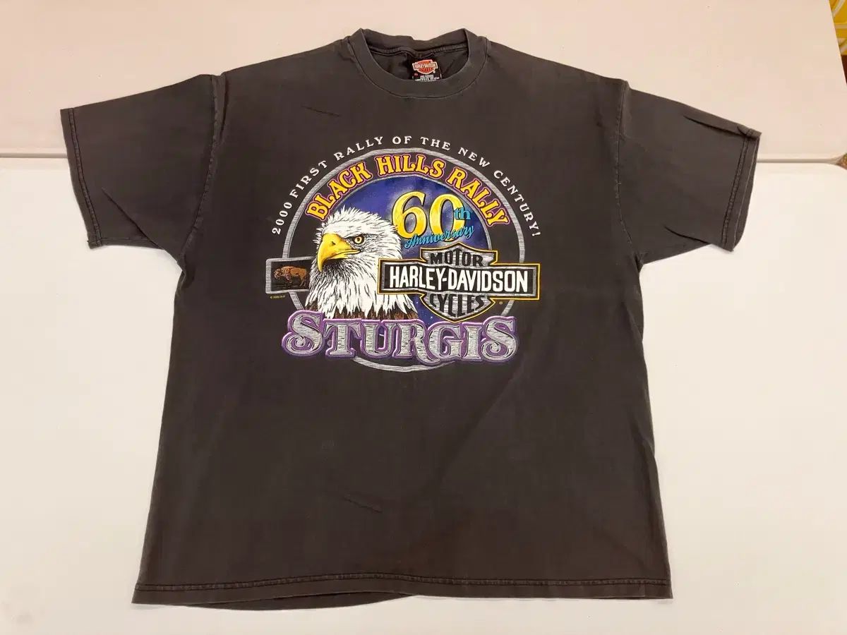 ハーレーダビッドソン 2000年 ブラックヒルズ ラリー 半袖 Tシャツ