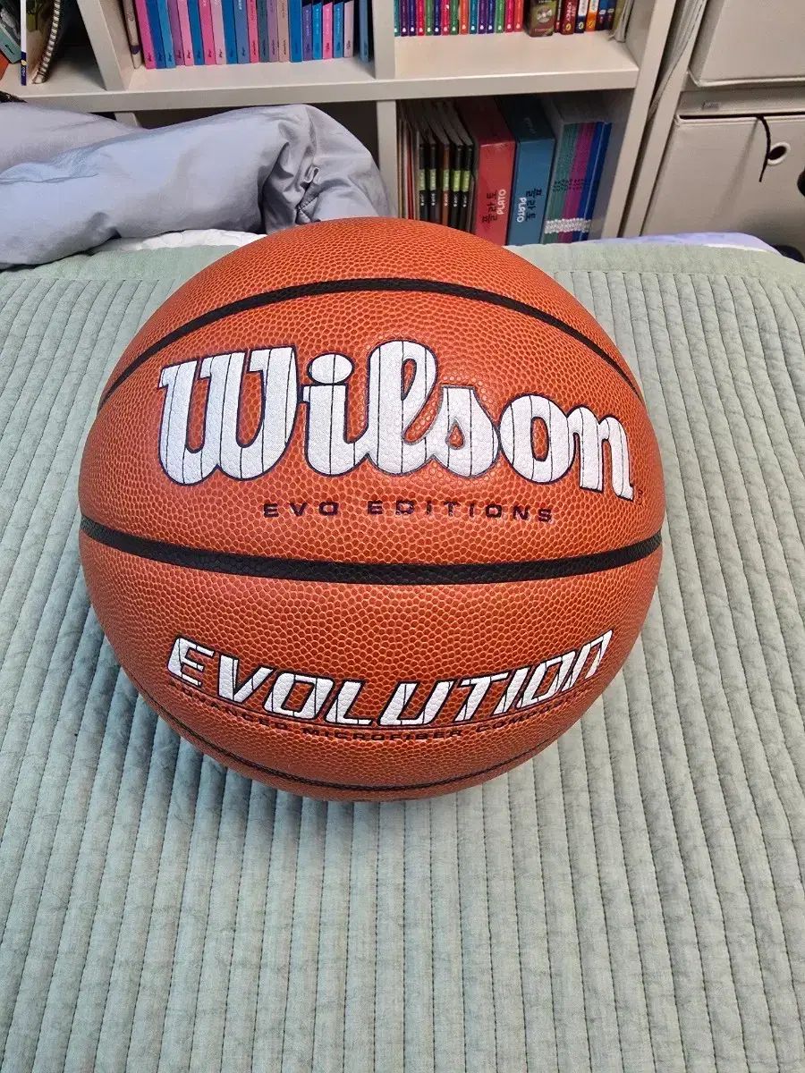 ウィルソン EVOLUTION バスケットボール