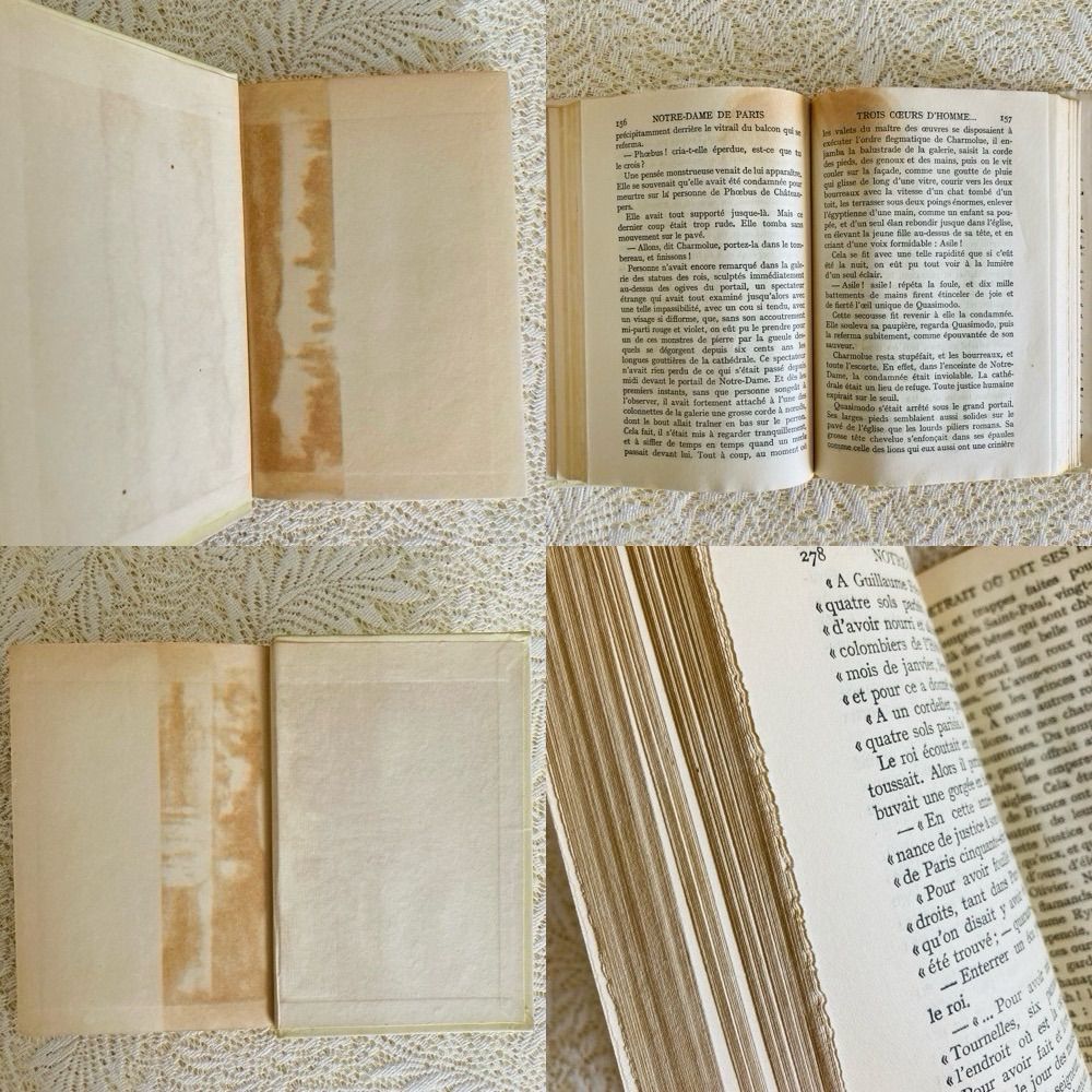 ネルソン ダストジャケット付き 美しい装丁のフランス語古書