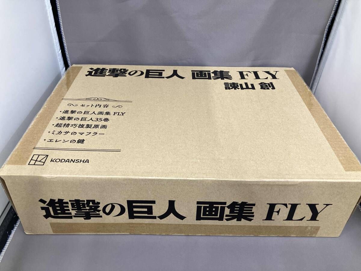 進撃の巨人 画集 FLY 諫山創 (進撃の巨人35巻欠品） - メルカリ