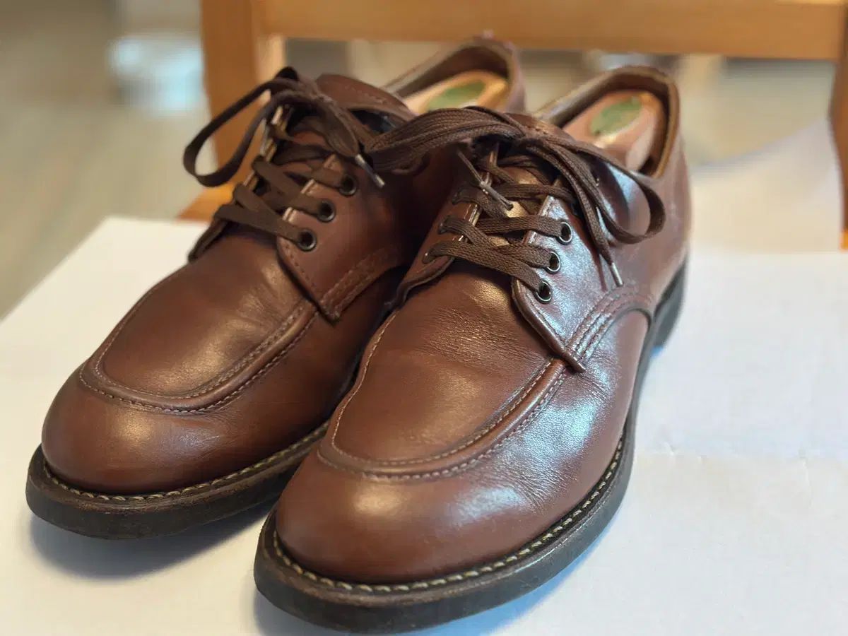 RED WING 8071 スポーツ Oxford 7D