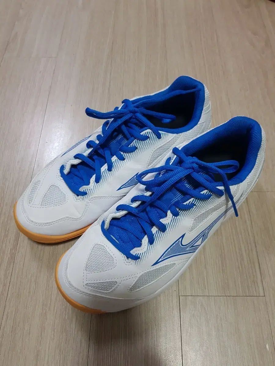 ミズノ スカイブラスター3 (265size)