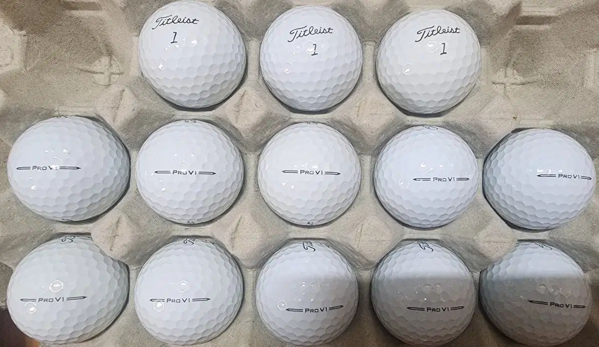 タイトリスト PRO V1 ロストボール 2025年 P10倍 | 20球 Titleist