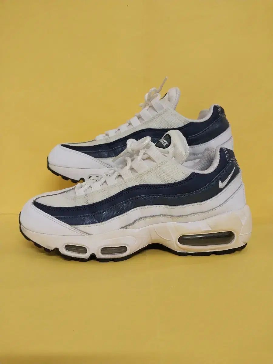 メンズ NIKE スニーカー (250)