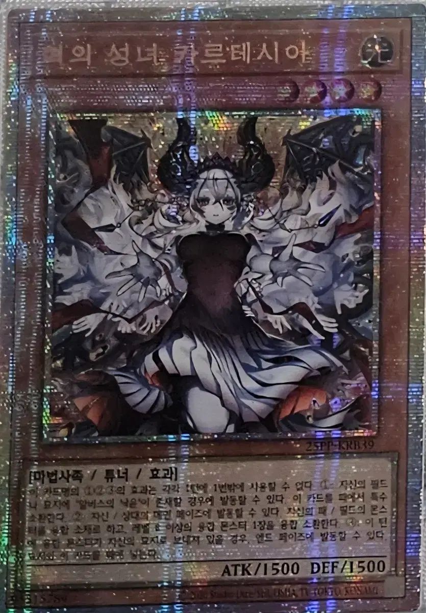 혁の聖女カルテシア シア新日 프싴