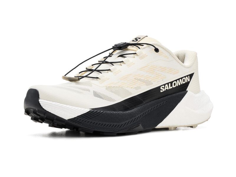 サロモン メンズ シューズ スニーカー Salomon Pulsar Vanilla Ice