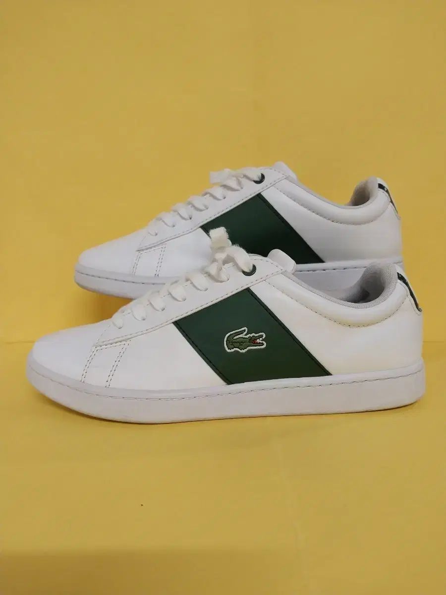 メンズ LACOSTE スニーカー (255)