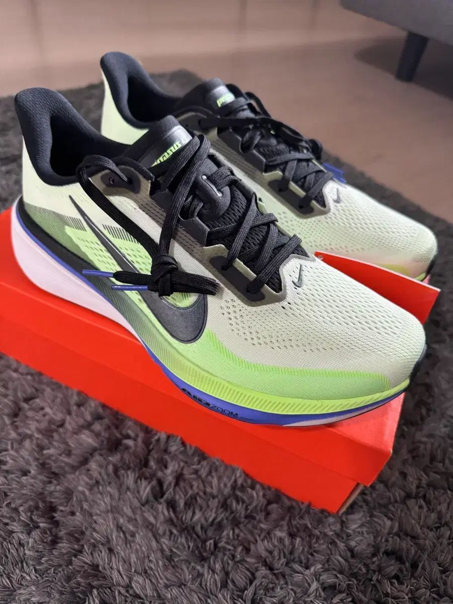 285 NIKE ペガサス 42 ボルト ティント