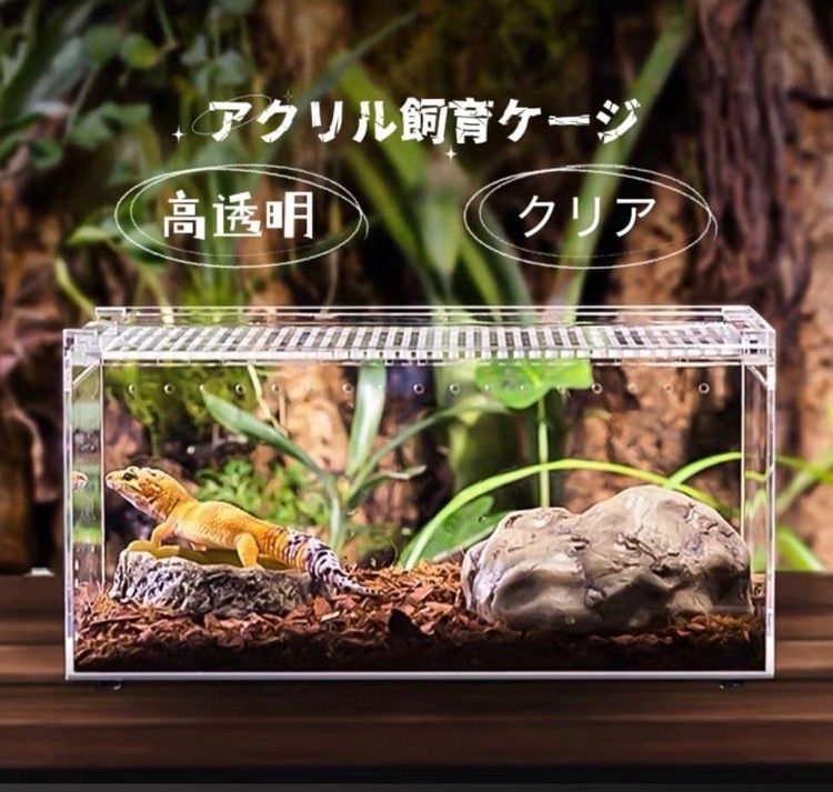 実店舗あり、卸販売 自社製 純アクリル 高品質レプタイルボックス 20